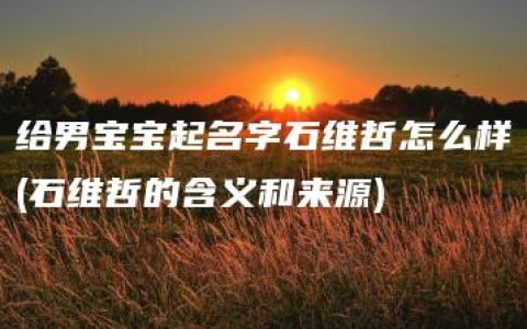 给男宝宝起名字石维哲怎么样(石维哲的含义和来源)