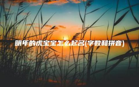 明年的虎宝宝怎么起名(字数和拼音)