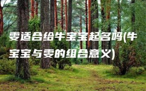 雯适合给牛宝宝起名吗(牛宝宝与雯的组合意义)