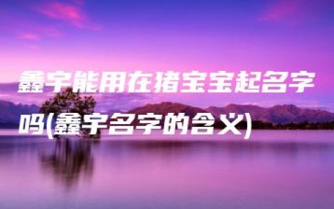 鑫宇能用在猪宝宝起名字吗(鑫宇名字的含义)