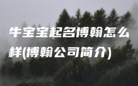 牛宝宝起名博翰怎么样(博翰公司简介)