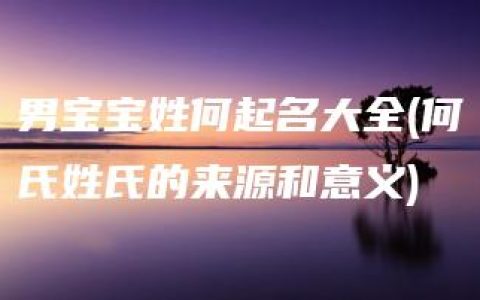 男宝宝姓何起名大全(何氏姓氏的来源和意义)