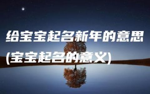 给宝宝起名新年的意思(宝宝起名的意义)