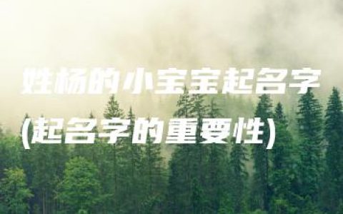 姓杨的小宝宝起名字(起名字的重要性)