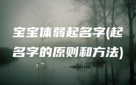 宝宝体弱起名字(起名字的原则和方法)