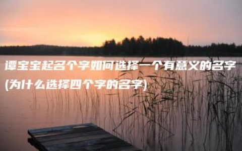 谭宝宝起名个字如何选择一个有意义的名字(为什么选择四个字的名字)