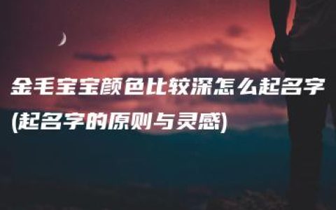 金毛宝宝颜色比较深怎么起名字(起名字的原则与灵感)