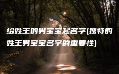 给姓王的男宝宝起名字(独特的姓王男宝宝名字的重要性)