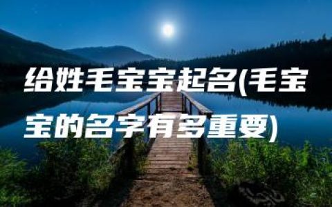 给姓毛宝宝起名(毛宝宝的名字有多重要)