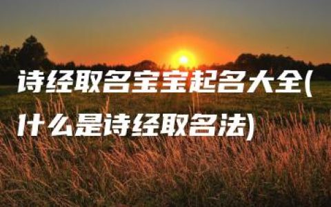 诗经取名宝宝起名大全(什么是诗经取名法)