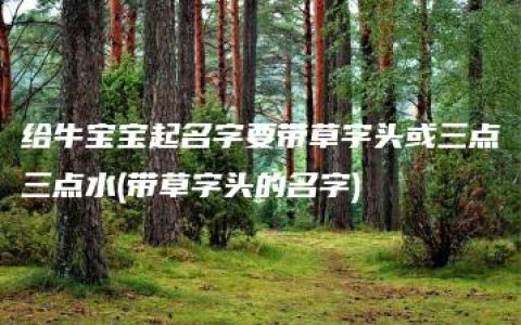 给牛宝宝起名字要带草字头或三点三点水(带草字头的名字)