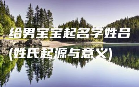 给男宝宝起名字姓吕(姓氏起源与意义)