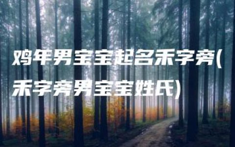 鸡年男宝宝起名禾字旁(禾字旁男宝宝姓氏)