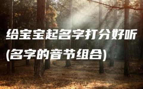 给宝宝起名字打分好听(名字的音节组合)