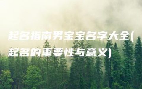 起名指南男宝宝名字大全(起名的重要性与意义)