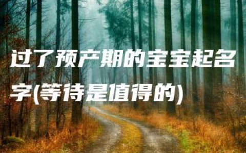 过了预产期的宝宝起名字(等待是值得的)