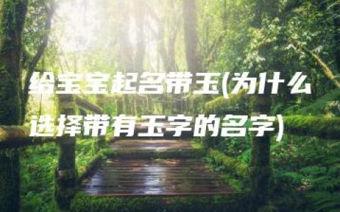 给宝宝起名带玉(为什么选择带有玉字的名字)