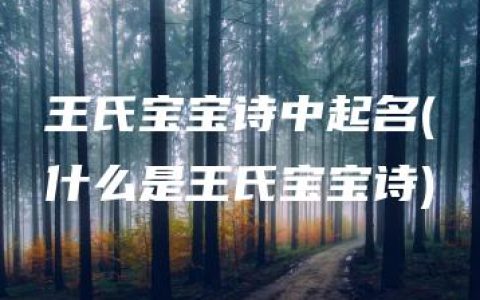 王氏宝宝诗中起名(什么是王氏宝宝诗)