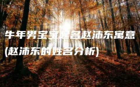 牛年男宝宝起名赵沛东寓意(赵沛东的姓名分析)