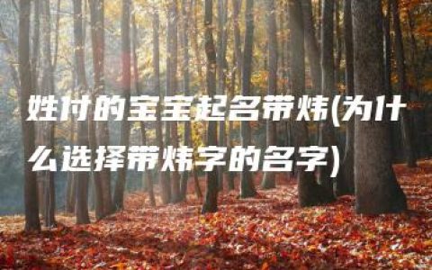 姓付的宝宝起名带炜(为什么选择带炜字的名字)