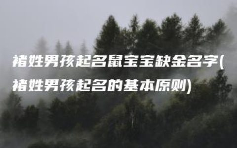 褚姓男孩起名鼠宝宝缺金名字(褚姓男孩起名的基本原则)