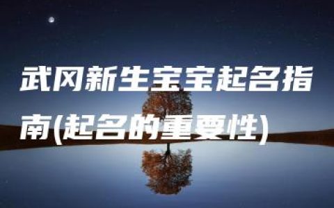 武冈新生宝宝起名指南(起名的重要性)