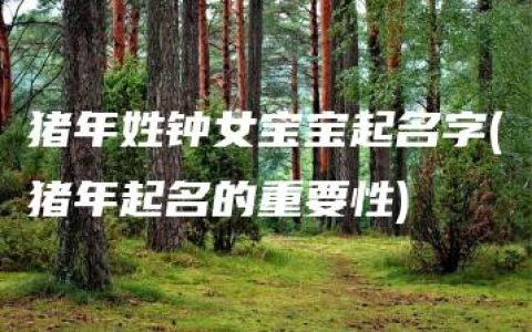 猪年姓钟女宝宝起名字(猪年起名的重要性)