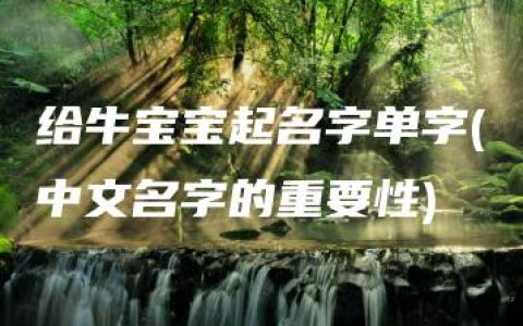 给牛宝宝起名字单字(中文名字的重要性)