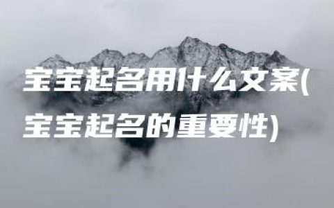 宝宝起名用什么文案(宝宝起名的重要性)