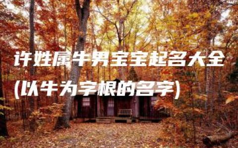 许姓属牛男宝宝起名大全(以牛为字根的名字)