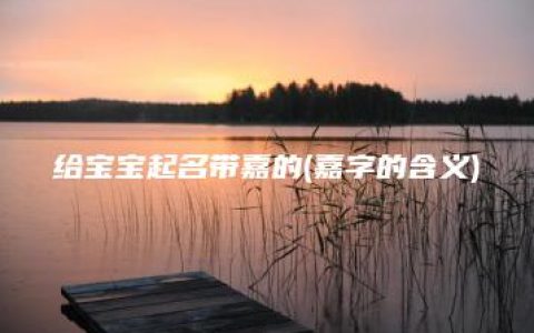 给宝宝起名带嘉的(嘉字的含义)