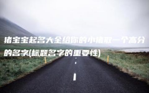 猪宝宝起名大全给你的小猪取一个高分的名字(标题名字的重要性)