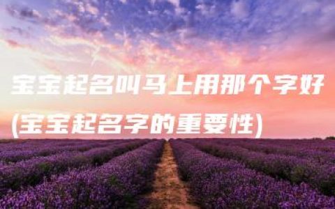 宝宝起名叫马上用那个字好(宝宝起名字的重要性)