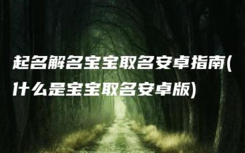 起名解名宝宝取名安卓指南(什么是宝宝取名安卓版)