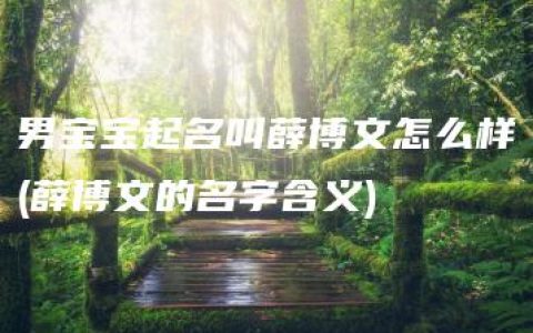 男宝宝起名叫薛博文怎么样(薛博文的名字含义)