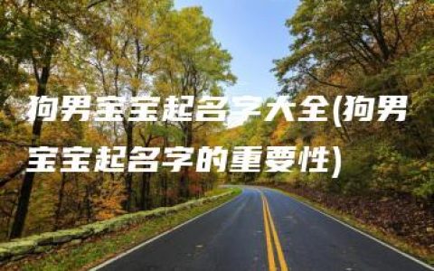 狗男宝宝起名字大全(狗男宝宝起名字的重要性)