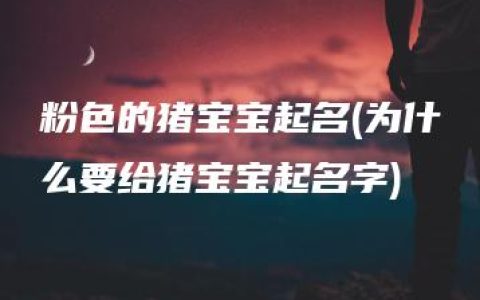 粉色的猪宝宝起名(为什么要给猪宝宝起名字)