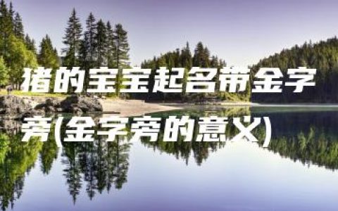 猪的宝宝起名带金字旁(金字旁的意义)