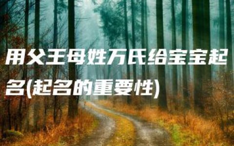 用父王母姓万氏给宝宝起名(起名的重要性)