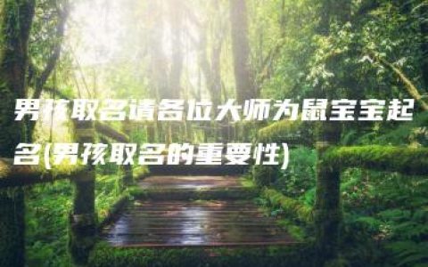 男孩取名请各位大师为鼠宝宝起名(男孩取名的重要性)