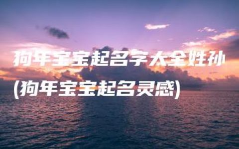 狗年宝宝起名字大全姓孙(狗年宝宝起名灵感)