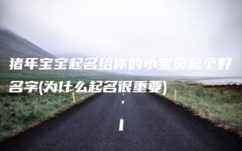 猪年宝宝起名给你的小宝贝起个好名字(为什么起名很重要)