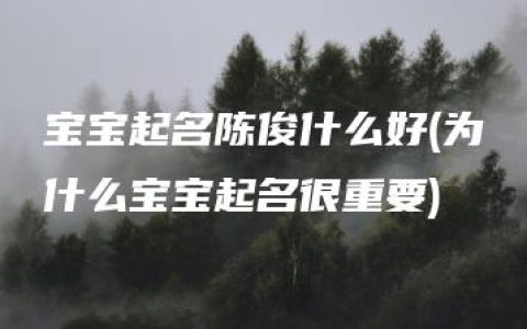 宝宝起名陈俊什么好(为什么宝宝起名很重要)