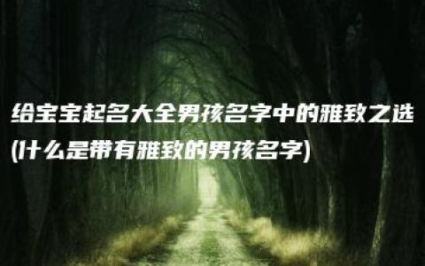 给宝宝起名大全男孩名字中的雅致之选(什么是带有雅致的男孩名字)