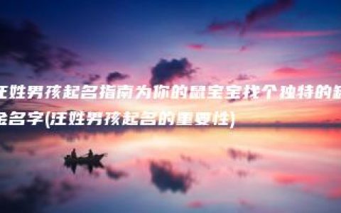 汪姓男孩起名指南为你的鼠宝宝找个独特的缺金名字(汪姓男孩起名的重要性)