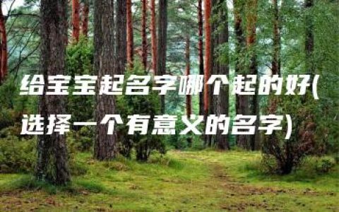 给宝宝起名字哪个起的好(选择一个有意义的名字)