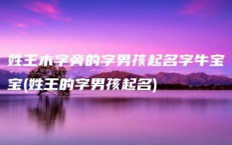 姓王木字旁的字男孩起名字牛宝宝(姓王的字男孩起名)