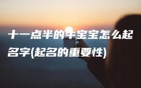 十一点半的牛宝宝怎么起名字(起名的重要性)