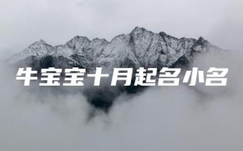 牛宝宝十月起名小名