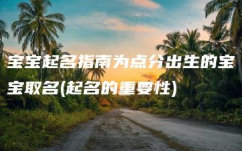 宝宝起名指南为点分出生的宝宝取名(起名的重要性)